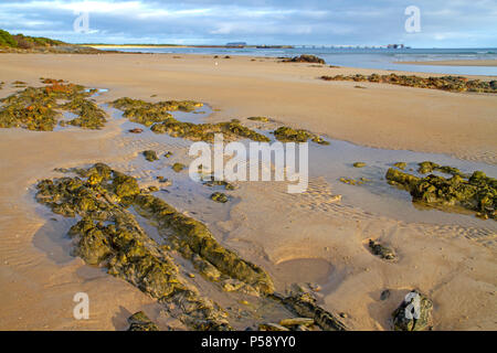 Vista di Stanley e il dado dal porto di latta Foto Stock