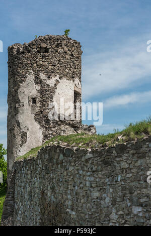 Rovine del Castello di Saris vicino a Presov in Slovacchia Foto Stock