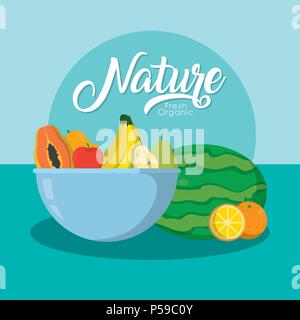 Deliziosi frutti della natura su sfondo colorato illustrazione vettoriale graphic design Illustrazione Vettoriale