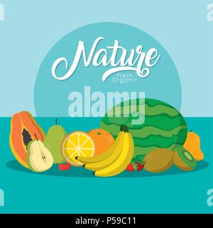 Deliziosi frutti della natura su sfondo colorato illustrazione vettoriale graphic design Illustrazione Vettoriale