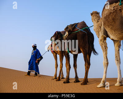 MEKNES - TAFILALET, Marocco - circa aprile 2017: Berber con i cammelli nelle dune del Marocco Sahara Foto Stock