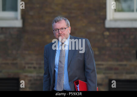 Londra, UK, 26 giugno 2018,il Segretario di Stato per la Scozia il Rt Hon David Mundell MP arriva settimanale per la riunione di gabinetto al 10 di Downing Street a Londra.Credit Keith Larby/Alamy Live News Foto Stock