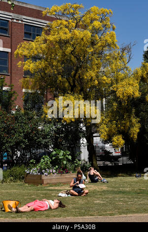 Londra, Regno Unito. Il 26 giugno 2018. Regno Unito - Previsioni del tempo - le persone a rilassarsi nella spa Fields Park di Clerkenwell. I londinesi sono godendo di un incantesimo di caldo che è previsto di continuare a. Credito: Stephen Chung / Alamy Live News Foto Stock