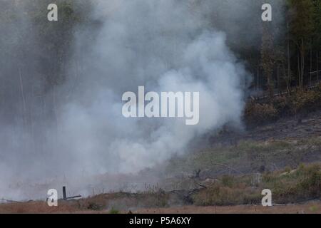 Rheidol valley, Ceredigion, Wales, Regno Unito 26 Giugno 2018 UK Meteo: un fuoco d'erba che si è diffusa lungo la Rheidol Valley vicino a Devils Bridge in Ceredigion, può essere visto per miglia come fumo spesso sorge nell'aria. I vigili del fuoco sono stati chiamati fuori circa 11.30 di questa mattina e sono ancora in corrispondenza della scena. (6,39 pm) come il fuoco è su una ripida Valle graduata, è che lo rende difficile da estinguere con la possibilità di dover ottenere un elicottero per estinguere in quanto essi non sono in grado di ottenere l'accesso. Credito: Ian Jones/Alamy Live News Foto Stock