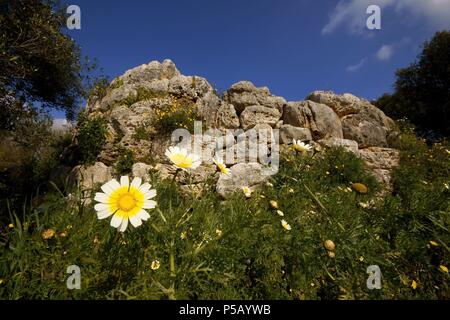 Poblado talaiótico de Els Antigors (Edad de Bronce).Ses Salines.Mallorca.Baleares.España. Foto Stock