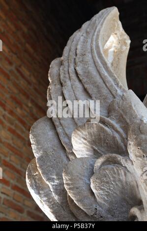 Ali di Chimera . Rinascimento ( Plateresque ) ' armi corte - ARCIVESCOVI PALACE ' appartenente all'antiquarium - parete di ALCALA DE HENARES ( 13° ). Comunità di Madrid .SPAGNA. Foto Stock