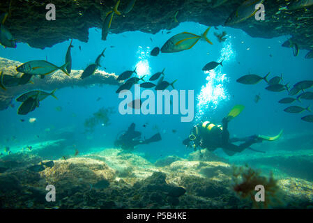 I subacquei in immersione vicino alla barriera corallina, Fuerteventura isole Canarie Foto Stock