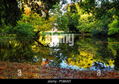 La riflessione in autunno park a un tramonto Foto Stock