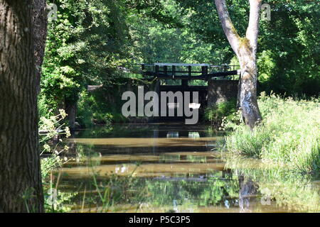 Un blocco del canale sul Wey e Arun canal in Inghilterra in estate Foto Stock