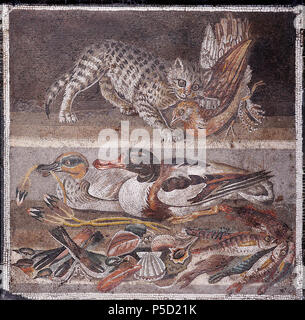 N/A. Inglese: Livello superiore : gatto con una pernice nella sua bocca; lower tier: anatre (sulla sinistra un maschio Eurasian Teal, sulla destra un comune Shelduck), uccelli, pesci e crostacei. Mosaico romano. Français : Registre supérieur : chat tenant une perdrix dans la gueule ; registre inférieur : canards (à gauche onu mâle de Sarcelle d'hiver, à droite onu Tadorne de Belon), oiseaux, coquillages, Poissons. Mosaïque romaine. Italiano: Registro superiore: gatto che azzanna onu uccello; registro inferiore: anatre, uccelli, pesce e conchiglie. Mosaico romano. . Impero Romano. N/A 282 uccelli gatto uomo Napoli Inv9993 Foto Stock