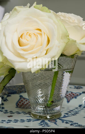 Close-up di rose bianche nel vaso di vetro Foto Stock