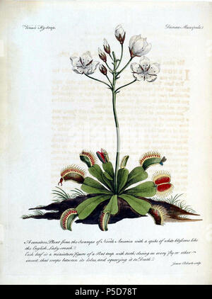 N/A. Inglese: "Egli ha anche aggiunto, con la sua propria pagina titolo, una descrizione di Venus flytrap che era stato inviato in una lettera a Sir Charles Linnaeus." La sua lettera a Linnaeus, datata 23 settembre 1769, è stato inviato con un'illustrazione e un campione e cominciò: "caro amico, so che ogni scoperta in natura è una delizia per voi; ma in questo si avrà una festa.' una graziosa colorate a mano l'incisione dell'impianto funge da frontespizio alla lettera pubblicata." Piastra da John Ellis' 'Una descrizione botanica del Dionoea muscipula' nello stesso volume. HI chiamata Libreria n. MC1 E47D. 1769. John Ellis (c1710- Foto Stock