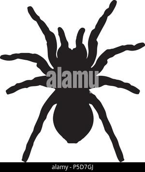 Silhouette di vettore di un ragno nero Illustrazione Vettoriale