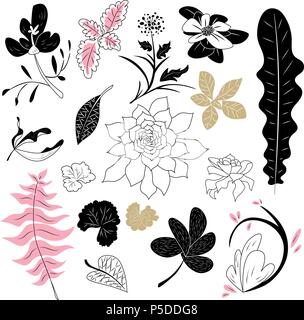 Fiori e Foglie Collection Pack Illustrazione Vettoriale
