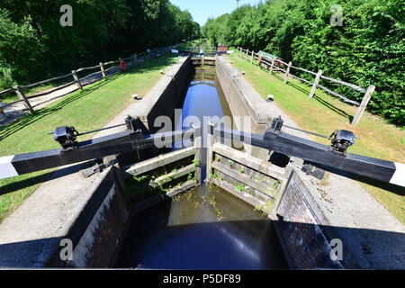 Un blocco del canale sul Wey e Arun canal in Inghilterra in estate Foto Stock