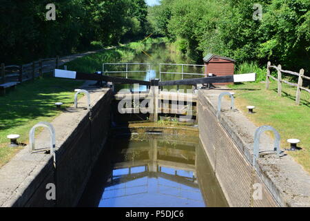 Un blocco del canale sul Wey e Arun canal in Inghilterra in estate Foto Stock