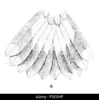 N/A. Inglese: " Adelomyia maculata " = Adelomyia melanogenys maculata (sottospecie di screziato Hummingbird) - fanalino di coda Français: " Adelomyia maculata " = Adelomyia melanogenys maculata (sous-espèce de Colibri moucheté) - Coda . 1894. Joseph Smit (1836-1929) Descrizione artista olandese Data di nascita e morte 18 Luglio 1836 4 Novembre 1929 Luogo di nascita e morte Lisse Radlett, Hertfordshire, Inghilterra sede di lavoro London Authority control : Q246595 VIAF:107451427 ISNI:0000 0001 2032 3753 LCCN:no2010029401 GND:101292467X SUDOC:09863416X WorldCat o John Gerrard Keulemans (1842-1912) Foto Stock