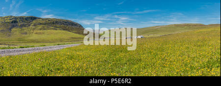 North Pennines AONB paesaggio panoramico, fioritura prati da fieno e Widdybank fattoria dalla Pennine Way in estate Foto Stock