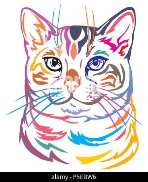 Decorativo colorato ritratto nel profilo del Gatto bengala, contorno vettore illustrazione isolato in colore nero su sfondo bianco Illustrazione Vettoriale