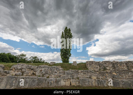 Fastigiate pioppo nero nella parte anteriore del vecchio muro di pietra e drammatico sky a inizio estate Foto Stock