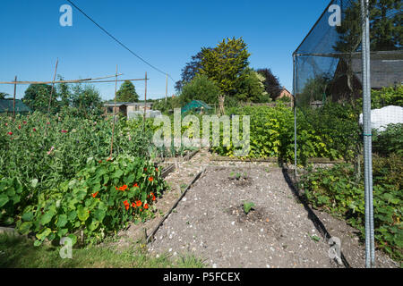 Assegnazioni a Stockbridge, Hampshire, Regno Unito su una soleggiata giornata estiva Foto Stock