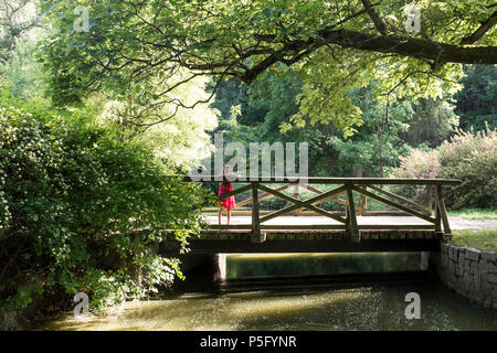 Ragazza che gioca sul ponte sopra ancora verdi acque del fiume nell'UNESCO Pruhonice Park fuori Praga, Repubblica Ceca Foto Stock