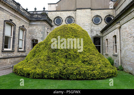 N/A. Inglese: Biddulph Grange - Staffordshire, Inghilterra. 11 giugno 2016, 06:42:43. Daderot 199 Biddulph Grange - Staffordshire, Inghilterra - DSC09073 Foto Stock