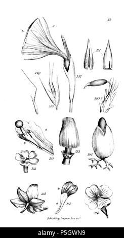 96 Un introduzione a fisiologico e sistematico botanica - piastra 12 Foto Stock