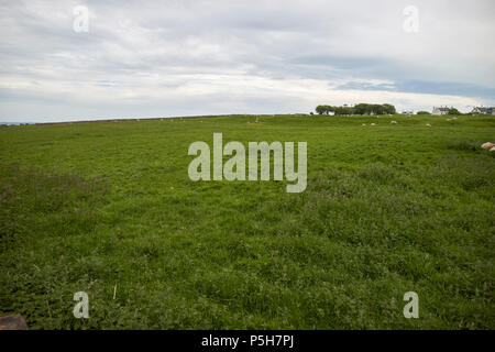 Lavori di sterramento della antica alauna Roman Fort a Maryport Cumbria Inghilterra England Regno Unito Foto Stock