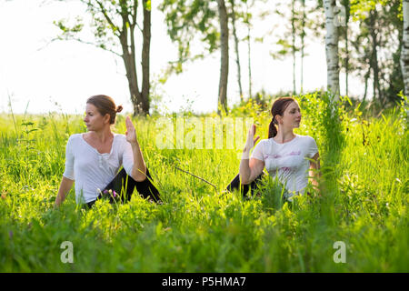 Due giovani donne attraenti la pratica dello yoga, seduta in ardha matsyendrasana esercizio outdoor in natura. Foto Stock