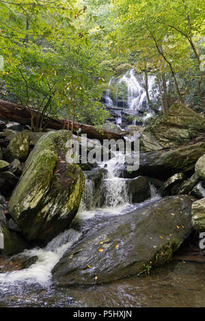 Catawba Falls, uno dei Western North Carolina la scenografica Blue Ridge Mountains cascate, Cascades oltre 100 ft su rocce e registri e possono essere trovati a th Foto Stock