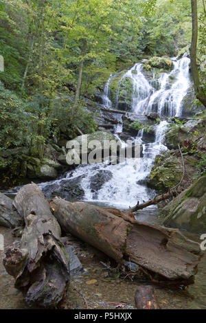 Catawba Falls, uno dei Western North Carolina la scenografica Blue Ridge Mountains cascate, Cascades oltre 100 ft su rocce e registri e possono essere trovati a th Foto Stock