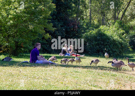 Northampton. Regno Unito. Il 27 giugno 2018. Meteo. persone godendo il tempo in un caldo pomeriggio di sole in Abington Park, . Credito: Keith J Smith./Alamy Live News Foto Stock