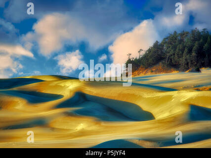 Sandunes al tramonto. Oregon Dunes National Area ricreativa. Foto Stock