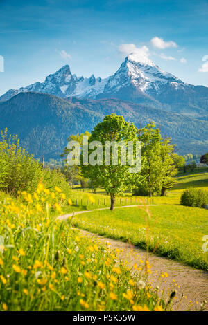 Bella vista della montagna idilliaco paesaggio di montagna con prati in fiore e cime picchi di montagna in una bella giornata di sole con cielo blu in primavera Foto Stock