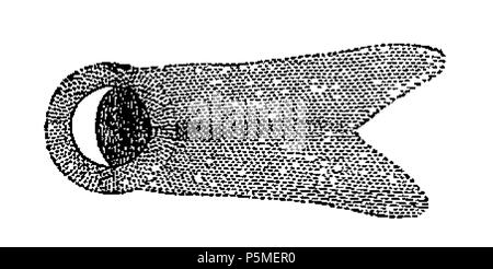 117 ARAGO Francois Astronomie Populaire T2 djvu 0467 Fig217 Foto Stock