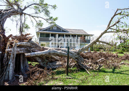 Florida, Fort ft. Myers Beach, The Mound House, Midden, sito storico archeologico, preservazione, patrimonio nativo degli indiani Calusa, dopo l'uragano Foto Stock