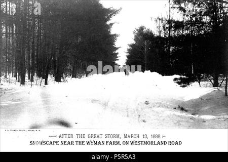 N/A. Titolo Blizzard di marzo 1888 - Snowscape vicino al Wyman Farm su Westmoreland Road creatore francese, J.A., Keene NH oggetto Blizzards - NH - Keene strade - NH - Keene neve - NH - Keene descrizione sulla Westmoreland Road vicino al Wyman Farm. 'Fotografato durante la settimana seguente il gran tempesta di Marzo 13, 1888. Molti dei punti di vista sono stati realizzati prima della pala o aratro aveva turbato le derive e altri dopo le strade e le passeggiate era stata aperta.' fare riferimento alla legenda editore Keene Biblioteca pubblica e la Società Storica della Contea di Cheshire DATA DIGITAL 20100331 DATA ORIGINALE RISORSA 188803 Foto Stock