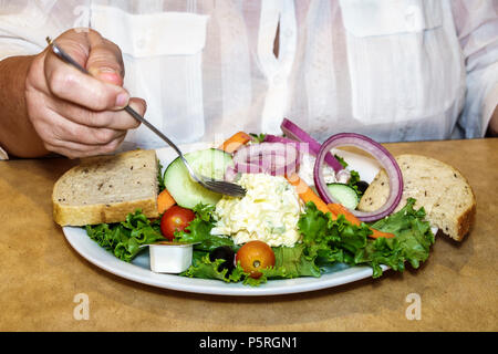 Stuart Florida, TooJay's Gourmet Deli, ristorante ristoranti, cibo, caffè, interno, piatto di cibo, insalata di uova, pane di segale, pranzo, FL170925279 Foto Stock