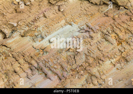 Bella colorata telaio completo abstract della struttura del suolo Foto Stock