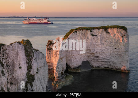 Old Harry Rocks, Dorset, England, Regno Unito Foto Stock