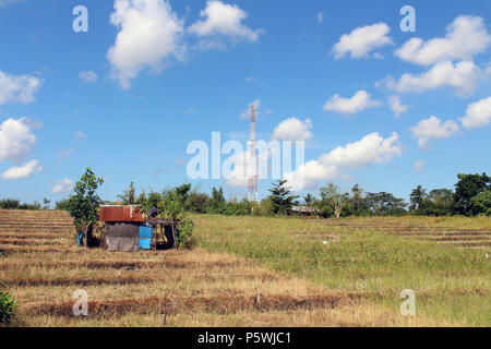 Campagna tipica vista del villaggio Balinese. I bambini giocando kite. Prese a Bali, luglio 2018. Foto Stock