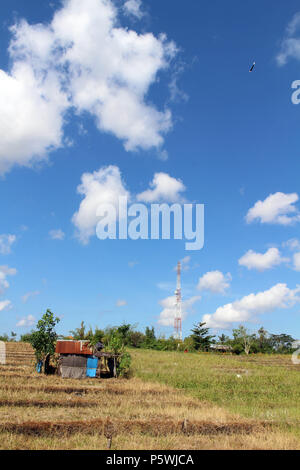 Campagna tipica vista del villaggio Balinese. I bambini giocando kite. Prese a Bali, luglio 2018. Foto Stock