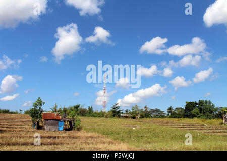 Campagna tipica vista del villaggio Balinese. I bambini giocando kite. Prese a Bali, luglio 2018. Foto Stock