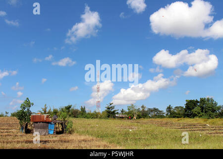 Campagna tipica vista del villaggio Balinese. I bambini giocando kite. Prese a Bali, luglio 2018. Foto Stock