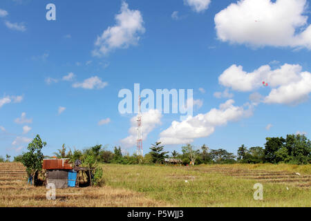 Campagna tipica vista del villaggio Balinese. I bambini giocando kite. Prese a Bali, luglio 2018. Foto Stock