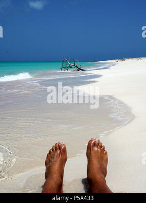 Falmouth Superyacht Dock, Antigua Foto Stock