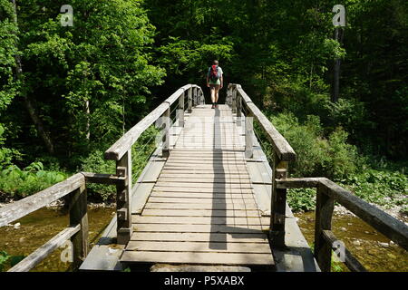 Wanderweg in der Wutachschlucht, Holzbrücke über die Wutach, südliche Baar, Baden-Württemberg, Deutschland, Europa Foto Stock