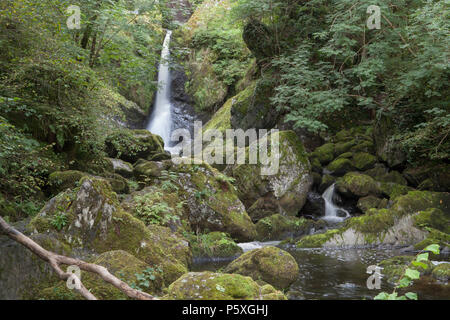 Il fiume Vartry cade in un pool noto come il diavolo la conca, vicino a Ashford in Wicklow Mountains dell Irlanda Foto Stock