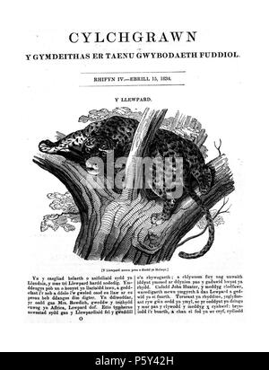 Cylchgrawn y Gymdeithas er Taenu Gwybodaeth Fuddiol. Inglese: il mensile in lingua gallese periodico della Società per la diffusione di conoscenze utili che gli articoli pubblicati su un certo numero di temi come il mondo naturale, geografia, biografie e letteratura. Il periodico è stato edito da chierico e poeta, John Blackwell (Alun, 1797-1840). Cymraeg: Cylchgrawn misol, Cymraeg ei iaith, y Cymdeithas Er Taenu Gwybodaeth Fuddiol. Prif gynnwys y cylchgrawn oedd erthyglau ar nifer o bynciau cyffredinol, megis byd natur, daearyddiaeth, bywgraffiadau un llenyddiaeth. Golygwyd y cylchgrawn gan yr dell Foto Stock